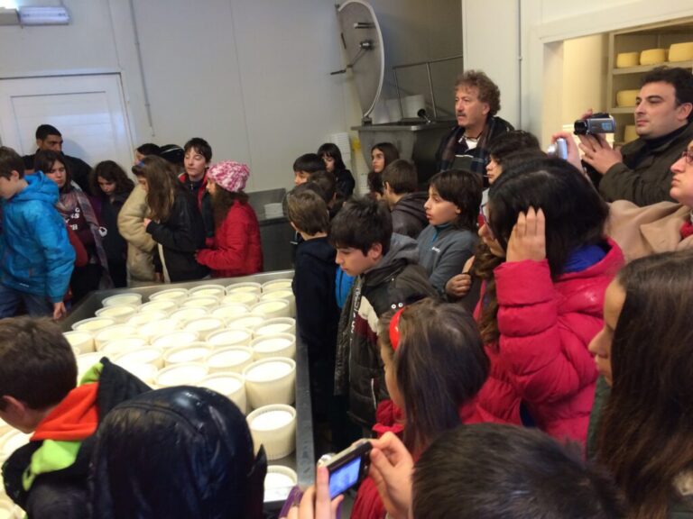 1.2015_mylopotamos_-_allilodidaskalia-1024x768