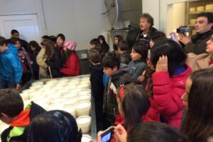 1.2015_mylopotamos_-_allilodidaskalia-1024x768