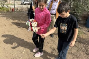 IMG_5391-Αντιγραφή-scaled