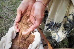 a0b11c45-7bdd-45cb-997a-49cf555d839e