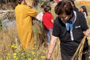 εικόνα_Viber_2024-06-03_12-03-02-519